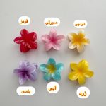 مینی کلیپس پلومریا - Image 2